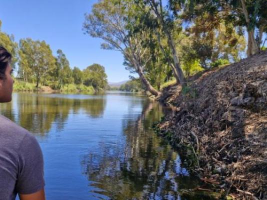 Merwespont River Life Guesthouses & Farm - River view