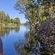 Merwespont River Life Guesthouses & Farm - River view