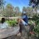 Merwespont River Life Guesthouses & Farm - River view