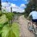 Merwespont River Life Guesthouses & Farm - Natural landscape