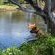 Merwespont River Life Guesthouses & Farm - River view