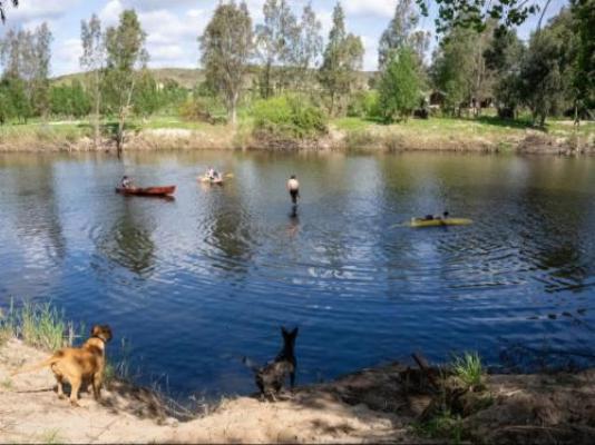 Merwespont River Life Guesthouses & Farm - River view