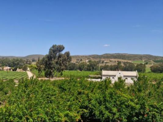 Merwespont River Life Guesthouses & Farm - Natural landscape