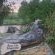 Merwespont River Life Guesthouses & Farm - Natural landscape