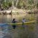 Merwespont River Life Guesthouses & Farm - River view