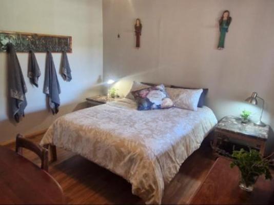 Merwespont River Life Guesthouses & Farm - Bed