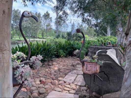 Merwespont River Life Guesthouses & Farm - Garden view