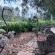 Merwespont River Life Guesthouses & Farm - Garden view