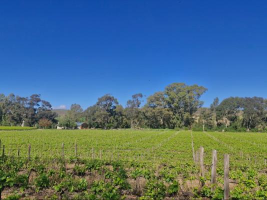 Merwespont River Life Guesthouses & Farm - 286895