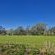 Merwespont River Life Guesthouses & Farm - 286895