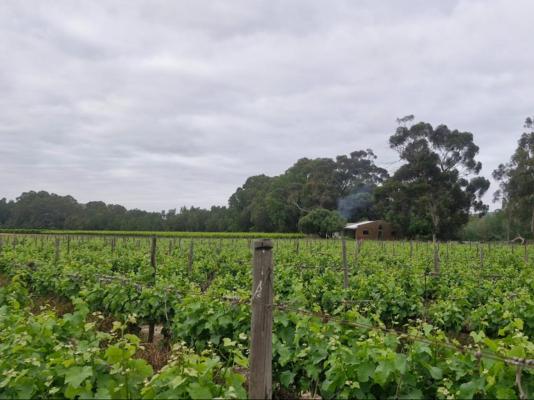 Merwespont River Life Guesthouses & Farm - 286896