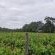 Merwespont River Life Guesthouses & Farm - 286896