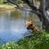 Merwespont River Life Guesthouses & Farm - 286926