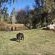 Merwespont River Life Guesthouses & Farm - 286928