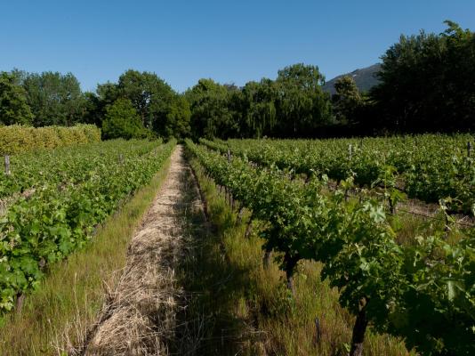 La Galiniere Guest Cottages - 286994