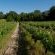 La Galiniere Guest Cottages - 286994