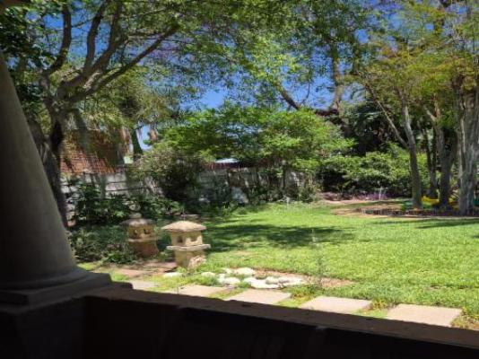 Sousie's Accommodation - Garden