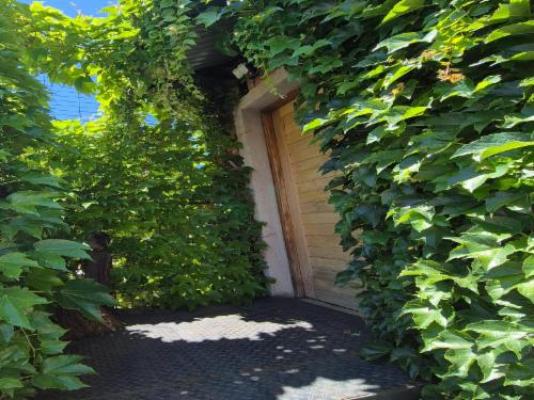 Sousie's Accommodation - Facade or entrance