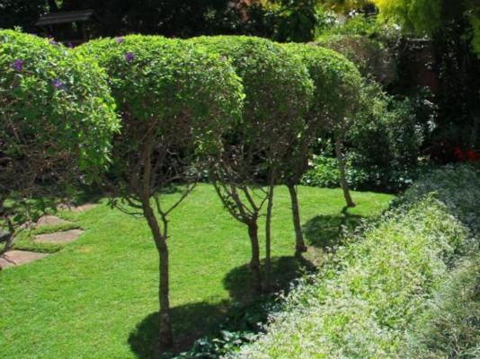 Oakhampton Bed & Breakfast - 287247