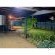 Apartment JungleBee - Garden