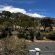 Zasha Chic House - View (from property/room)