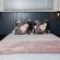 2 Owls Guesthouse - 287506