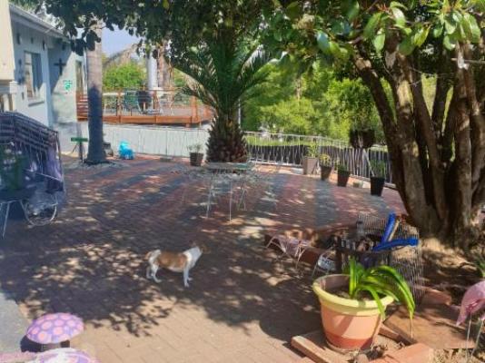 The Haven: Make our Home your Home Guesthouse - Patio