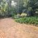LoeriesNest - Garden view