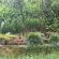 LoeriesNest - Garden view