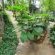 LoeriesNest - Garden view