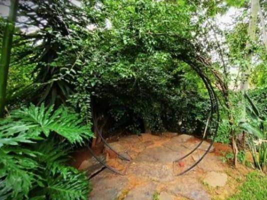 LoeriesNest - Garden