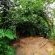 LoeriesNest - Garden