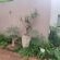 LoeriesNest - Garden