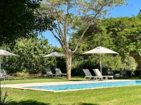 Mo & Rose Nature Retreat - Pool view