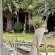 Mo & Rose Nature Retreat - 287830