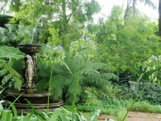 Purcrest Guest House - Garden