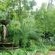 Purcrest Guest House - Garden