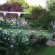 Purcrest Guest House - Garden view