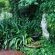 Purcrest Guest House - Garden