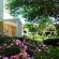 Purcrest Guest House - Garden