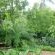 Purcrest Guest House - Garden