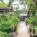 Muckleneuk Manor B&B - Garden