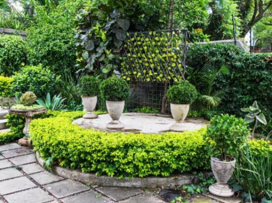 Muckleneuk Manor B&B - Garden