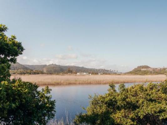 Riverside Self Catering Cabin - River view