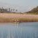 Riverside Self Catering Cabin - River view