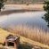 Riverside Self Catering Cabin - Braai/BBQ facilities