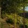 Spanish Farm Boutique Hotel & Villas - 288283