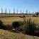 Ashwood Boutique Hotel - 288561