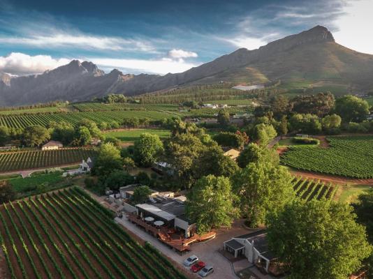 Alluvia Boutique Winery - 288767