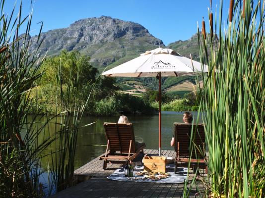 Alluvia Boutique Winery - 288771
